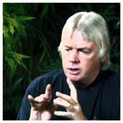 David Icke Meme Template