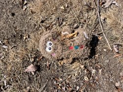 Dog’s chew toy Meme Template