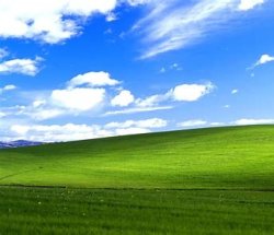 windows xp grass Meme Template
