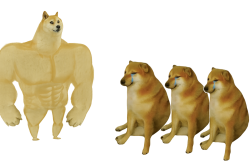 buff doge Meme Template