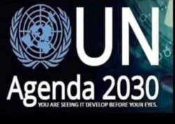 UN Agenda 2030 Meme Template