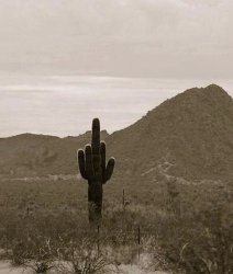 Chrisjoines1 Meme Template