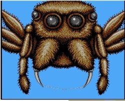 Simant spider Meme Template