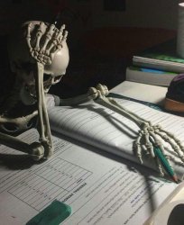 Cooked skeleton Meme Template
