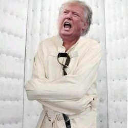 Trump senile dementia frontotemporal dementia crazy insane Meme Template