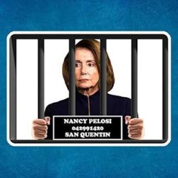 Nancy Pelosi for San Quentin Meme Template