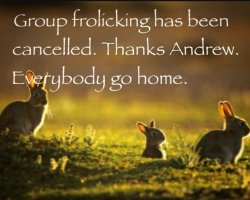 frolicking cancelled Meme Template