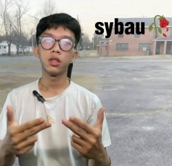 Sybaus Meme Template