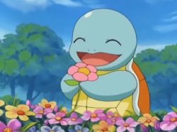 cute turtle Meme Template