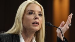 Pam Bondi condemns Democrats defending pedos Meme Template