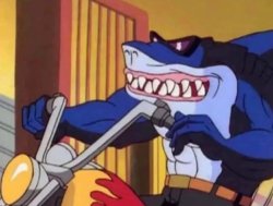 motorcycle shark Meme Template