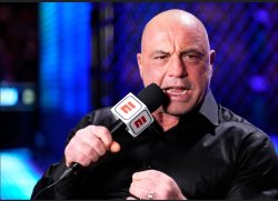 Joe Rogan Meme Template