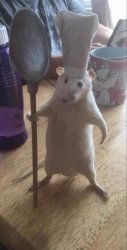 Mouse with chef hat and holding spoon Meme Template