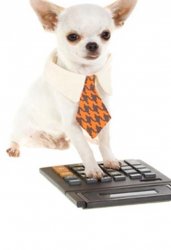 Dog Calculator Meme Template