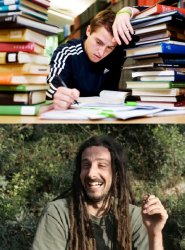 Study not study Meme Template