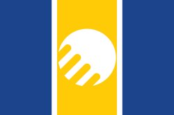 Flag of Liberal Democracy Meme Template