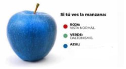 Si tú ves la manzana: Meme Template