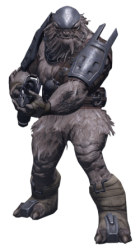 Jiralhanae Meme Template