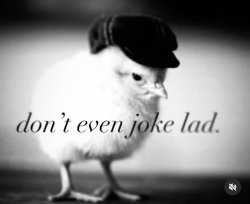 Don't even joke lad Meme Template