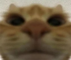 Tried to unlock your iphone Meme Template