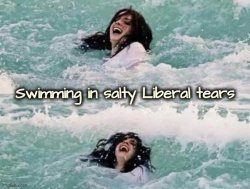 MAGA is fun Meme Template