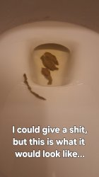 I don't give a shit Meme Template