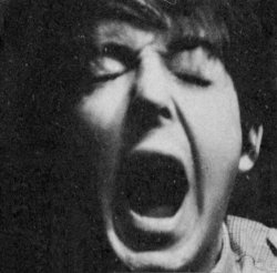Paul the ash baby Meme Template
