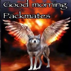 Good morning Packmates Meme Template