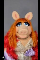 Miss piggie Meme Template