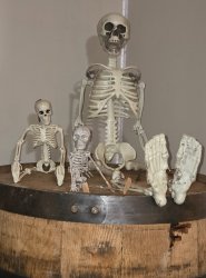 Waiting skeletons Meme Template