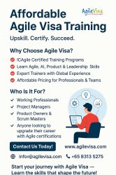 Affordable Agile Visa Training Meme Template