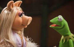 Pig love Meme Template