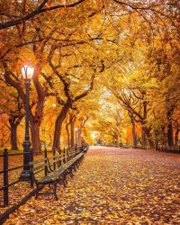 Chrisjoines1 Meme Template