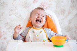 Baby tantrum Meme Template