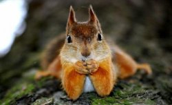 Tell me all about it Meme Template