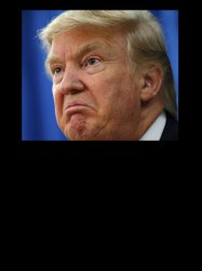 Angry Trump Meme Template Meme Template