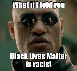 What if I told you Black Lives Matter is racist Meme Template