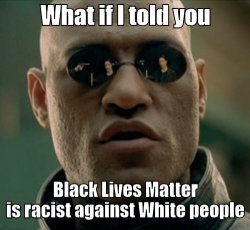 What if I told you Black Lives Matter is racist Meme Template
