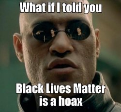 What if I told you Black Lives Matter is a hoax Meme Template