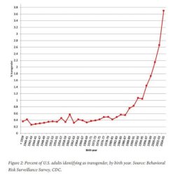 Percentage of US adults identifying as trans Meme Template