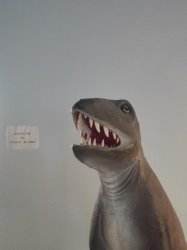 Tired dino Meme Template