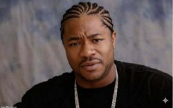 no dawg Xzibit Meme Template