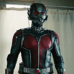 masked ant man Meme Template