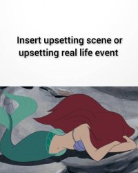 what makes princess ariel cry Meme Template