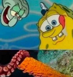 Squid dick and spong cock Meme Template