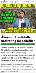Jimmie Åkesson Dumpen Pedofil Meme Template
