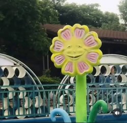 Sun flower Meme Template