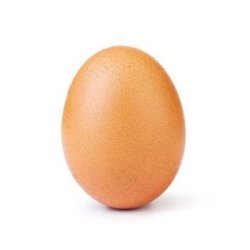 Instagram egg Meme Template