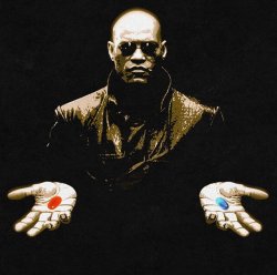 Matrix Meme Template