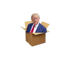 Trump box Meme Template